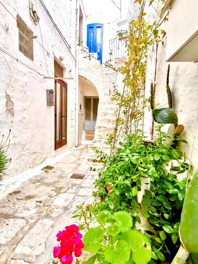 Вилла White Stone- La Terrazza Остуни Экстерьер фото